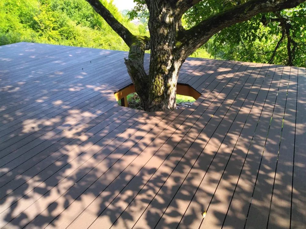 charpente près de Migennes